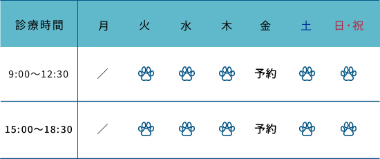 診療時間(午前9:00～12:30、午後15時～18:30、休診日：月曜日　※金曜日は予約診療)
