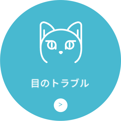 目のトラブル